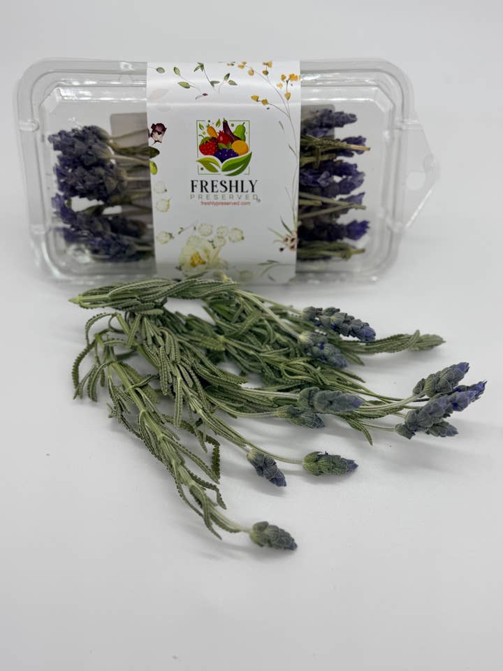 Freeze-dried Edible Lavender Flowers for wholesale by Freshly Preserved