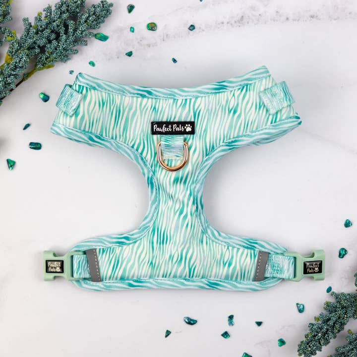 Aquamarine Dreams - Harnais ajustable Zebra sans traction pour la vente par Pawfect Pals