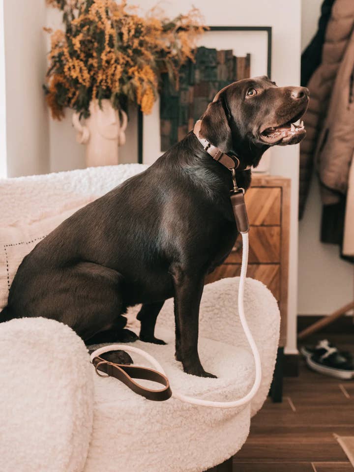 Correa Cabo Blanco for wholesale by Grey Ghost