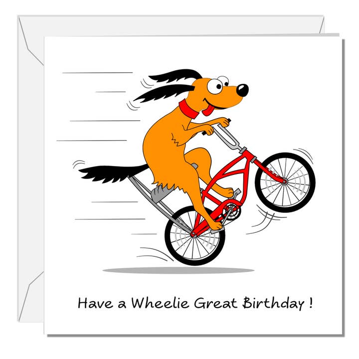 Lustige Geburtstagskarte für einen besonderen Freund, Sohn, Teenager, Enkel, Neffe — Lustiges Radfahren, humorvolles Fahrrad, Wheelie Bicycle, 10 11 12 13 14 15 16 17 für den Großhandel von Swizzoo Cards