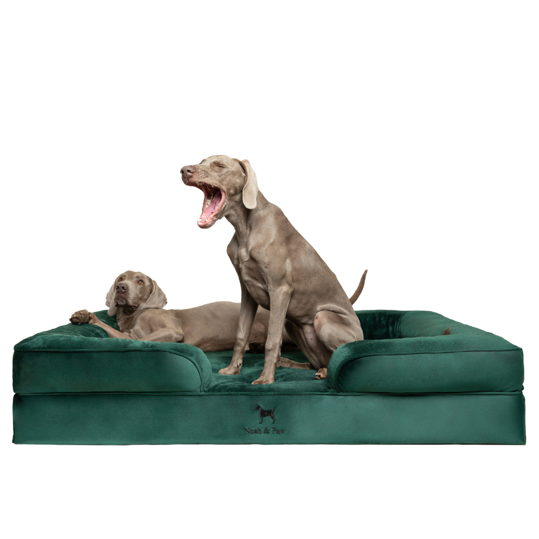 NOAH AND PAW LLC - Wholesale Bed voor huisdieren- Kat/hond - Velvet orthopedisch hondenbed met memoryfoam en verkoelende gel4