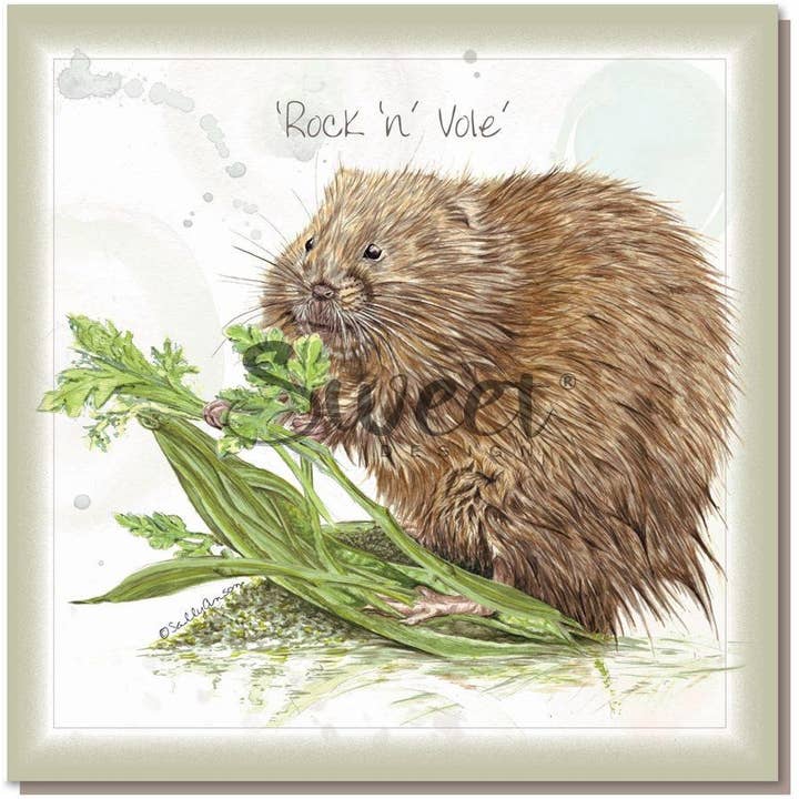 SEC014 - Water Vole 'Rock N Roll' for wholesale by Sweet Design