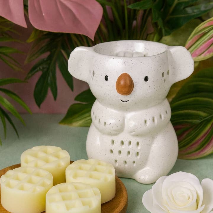 Koala kokosbrännare för wholesale av Cirabella-Sensaura srl