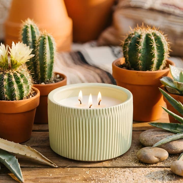 Vela de Cerâmica de Luxo com 3 Pavios de Soja de Cacto de Agave por atacado de Kalamazoo Candle Company