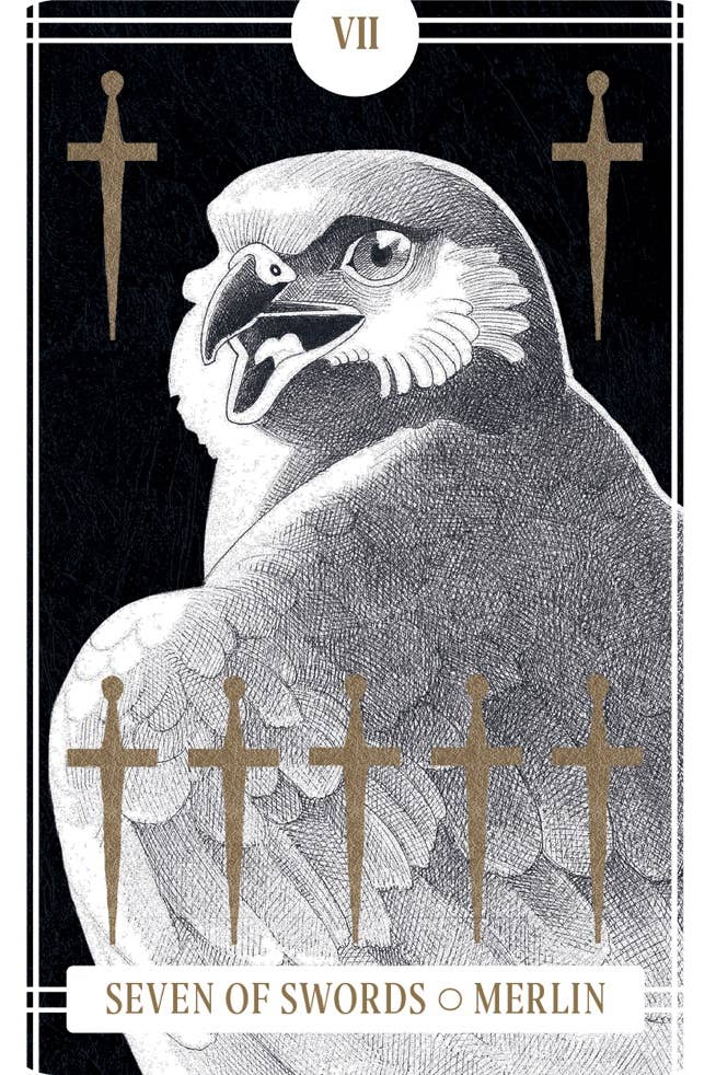 Chronicle Books - Wholesale Tarot Cards - Avian Tarot4