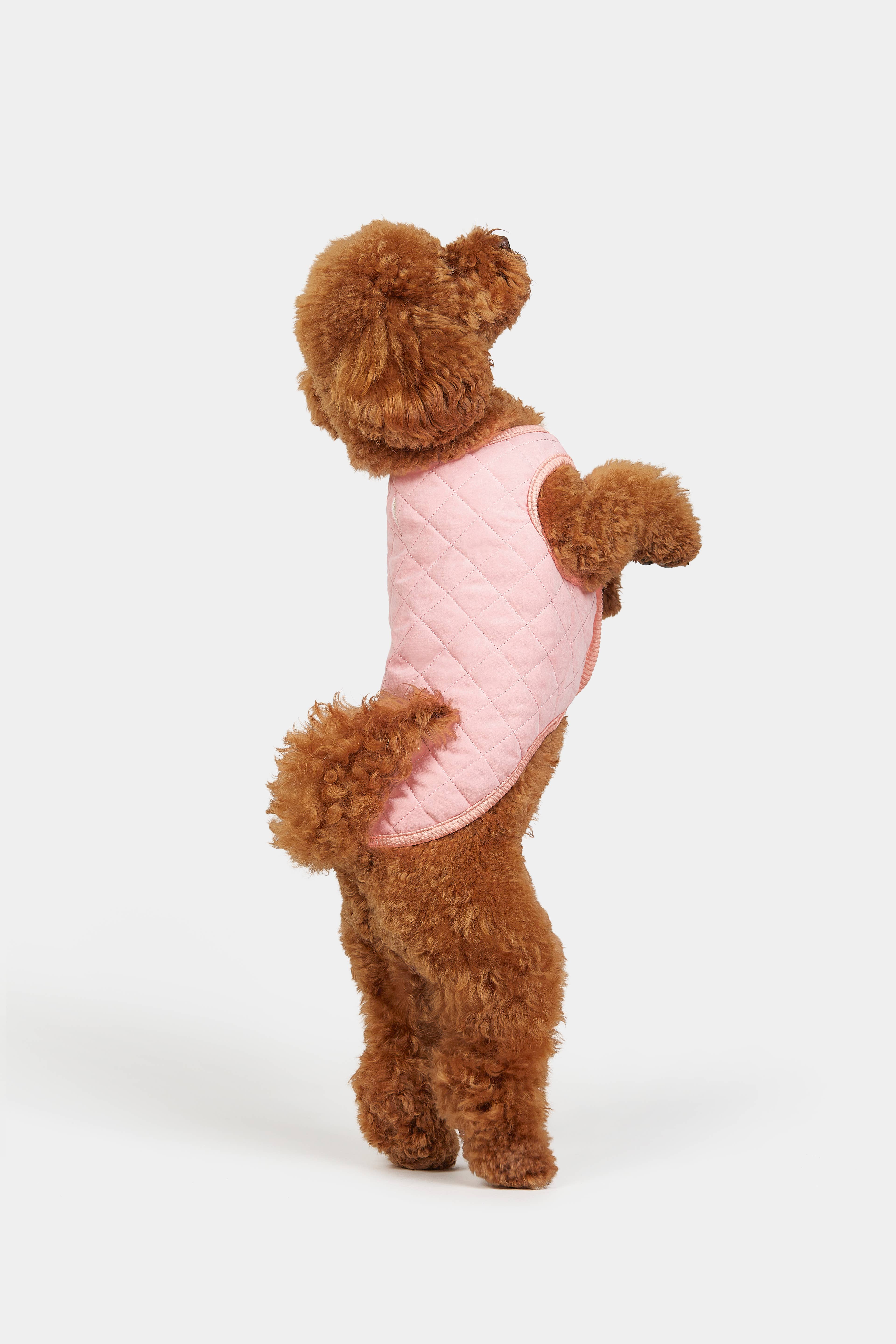 ARISTOPET - Wholesale Pet Coat - Dog - FOXY PINK VEST9