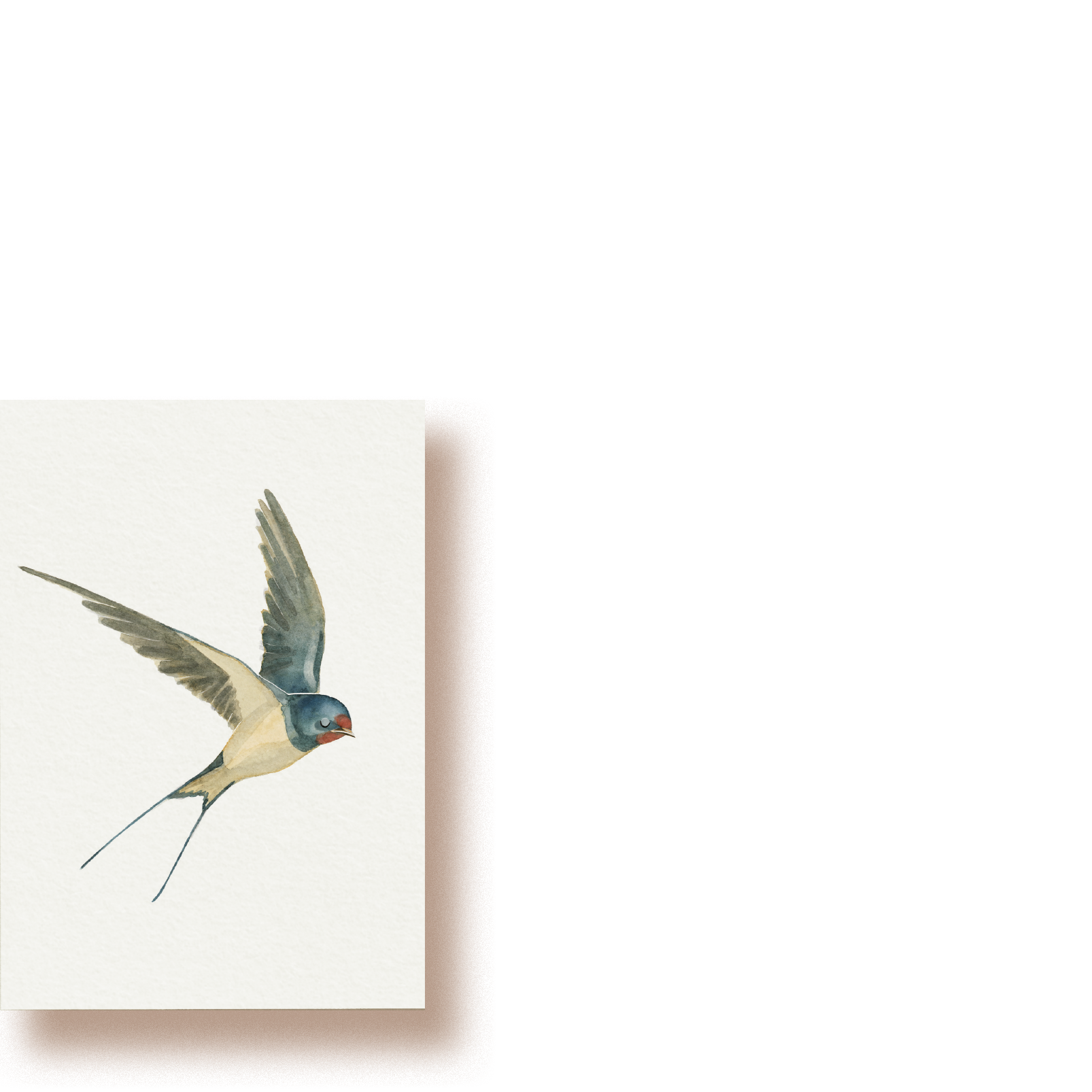 tucán y limón - Wholesale Everyday Greeting Card - Barn Swallow | Mini map0