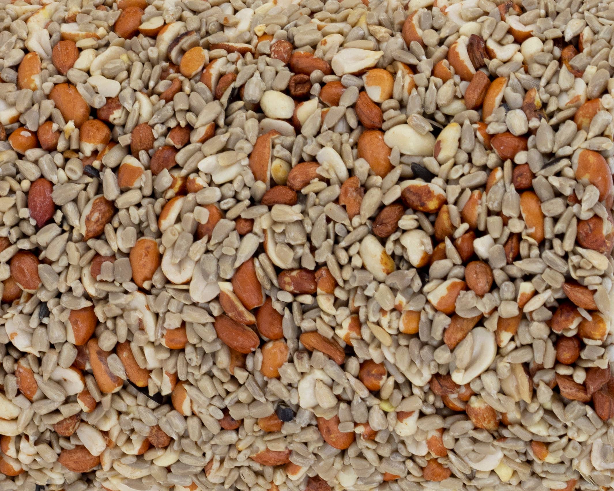 Birdzy - Wholesale Bird Feeder - No-Mess Delight Seed Cylinder2