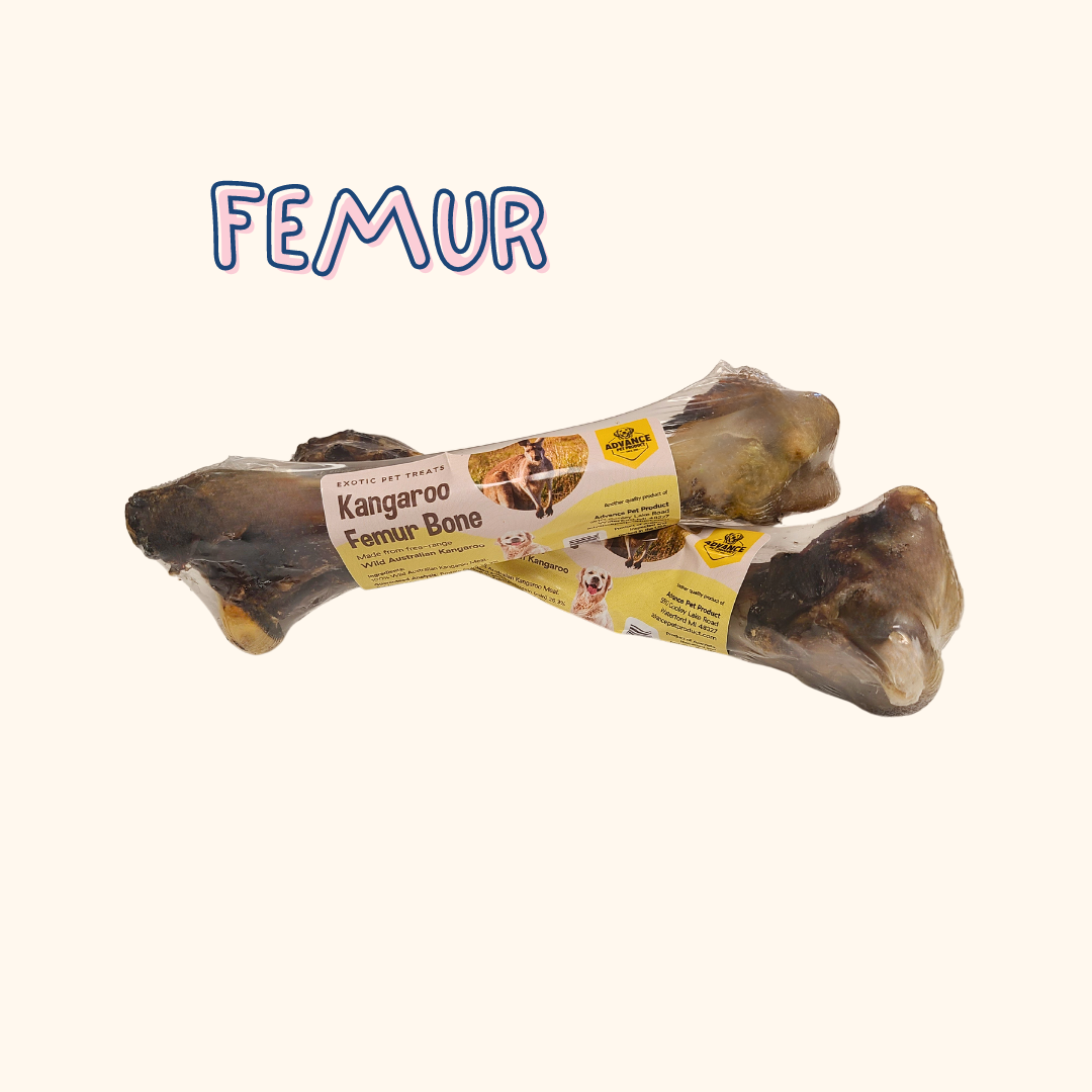 Advance Pet Products - Vente Friandises – chien - Friandises pour fémur de kangourou et lombaires élevées en liberté0
