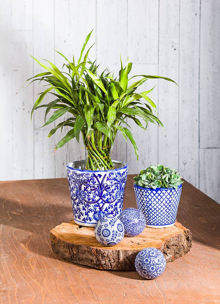 Abbott – Engroshandel Bordpynt – Blå og hvide dekorationskugler - 6 assorterede - 7,6 cm i diameter3