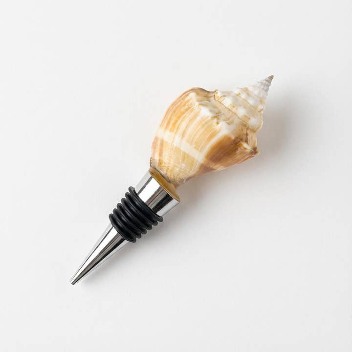 Florida Muschelkorken – Natürliche Spirale für den Großhandel von Shell Yeah By Jaks LLC