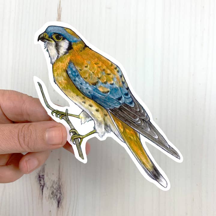 Sarah Draws Things - Wholesale Sticker - American Kestrel Vinyl Sticker1