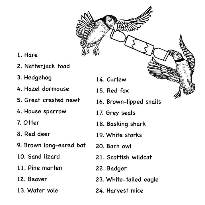 Wild Lines - Wholesale Coloring & Activity Book - Kids & Baby - Wild Advent Colouring Book - Kids Advent Calendar Activity7