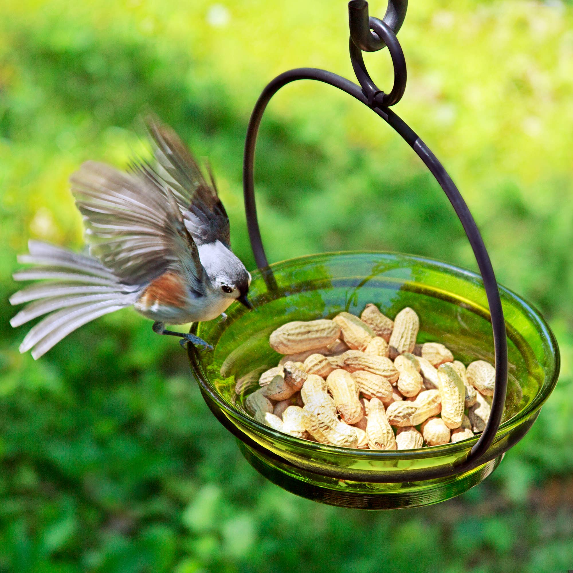 Couronne Co. - Wholesale Bird Feeder - Mosaic Birds Cuban Hanging Bird Bath Or Feeder Lime4