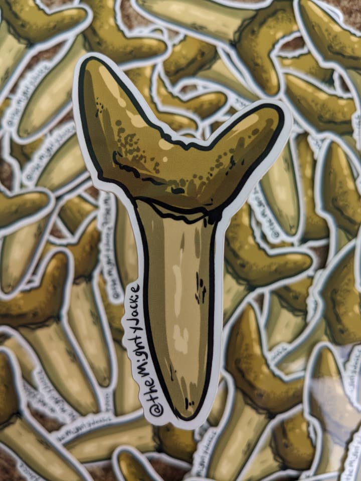 Sand Shark Tooth Sticker for wholesale by The Mighty Jackie