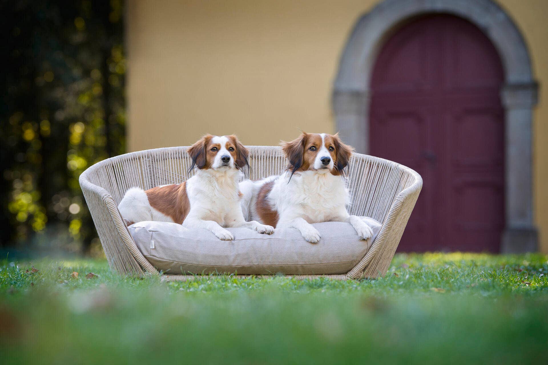 LABONI - Volentis GmbH - Wholesale Pet Bed - Dog - Vogue Design Smooth Dog Bed Collection5
