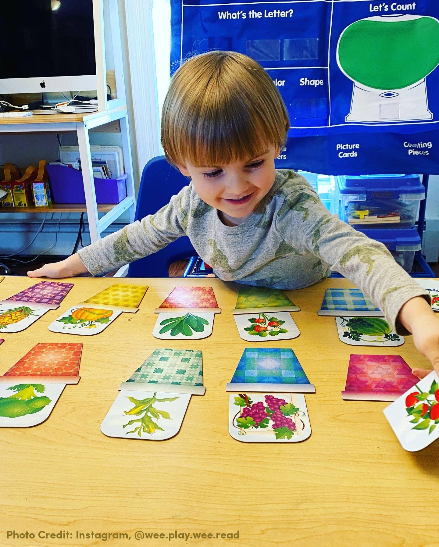 Blue Ninja Studios - Wholesale Brain Game - Kids - Patchwork Garden Preschool Memory Matching Game1