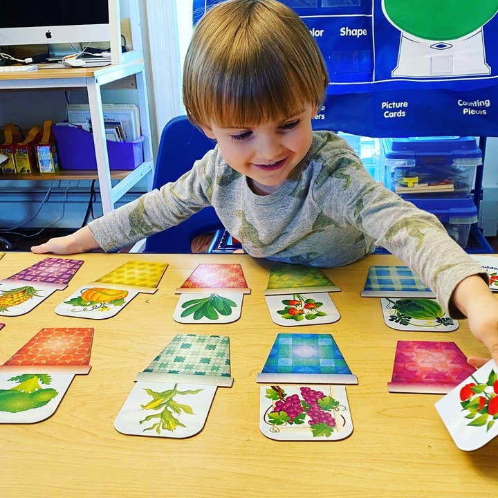 Blue Ninja Studios - Wholesale Brain Game - Kids - Patchwork Garden Preschool Memory Matching Game1