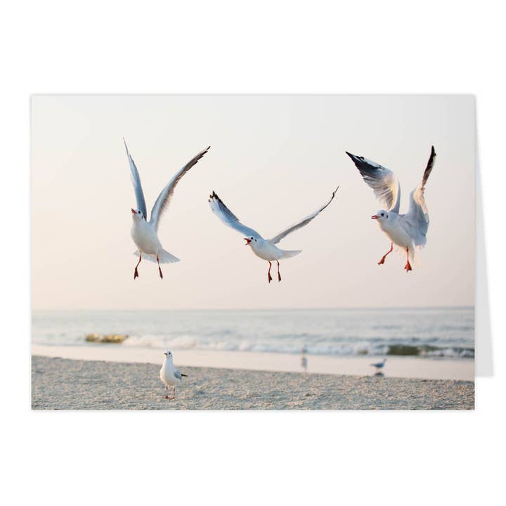 Tarjeta plegable "Banda de gaviotas I" para venta al por mayor de paruspaper. nutzfeine papeterie