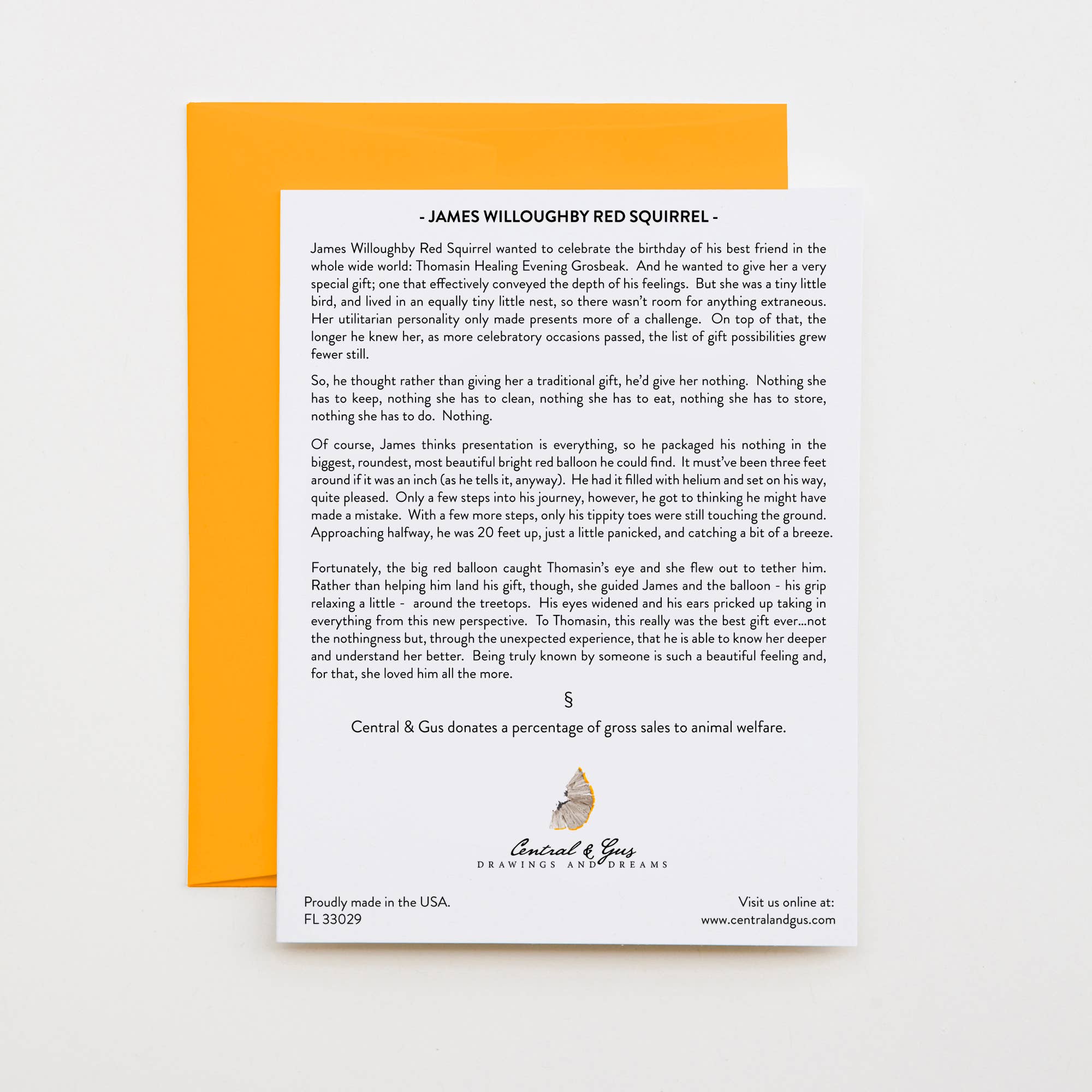 Central & Gus - Wholesale Everyday Greeting Card - James Willoughby Red Squirrel Note Card1