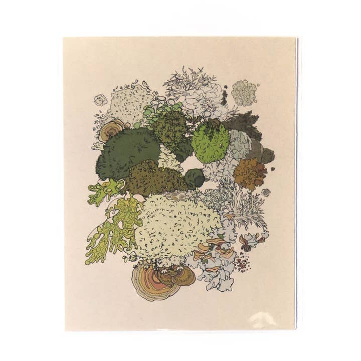 Stampa con muschi e licheni - 20,3 x 25,4 cm per la vendita all'ingrosso da parte di Wild Life Illustration Co.