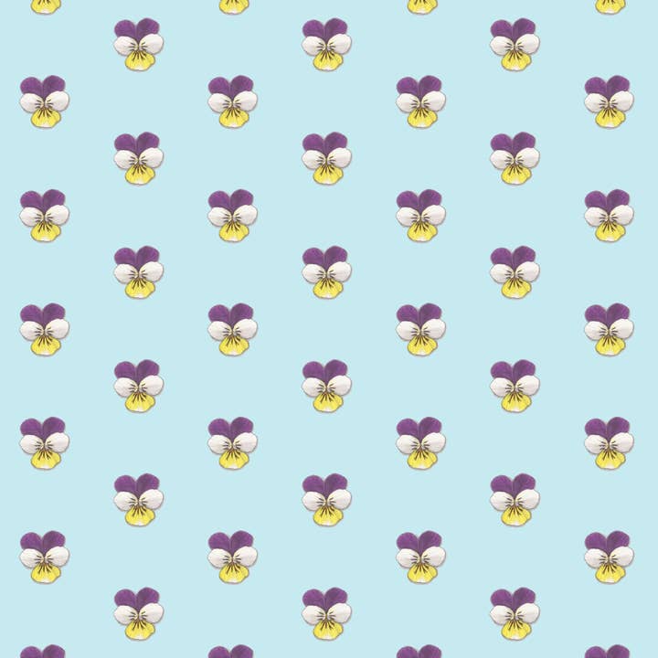 Gift Wrap / Flowers for wholesale by Yeesan Loh