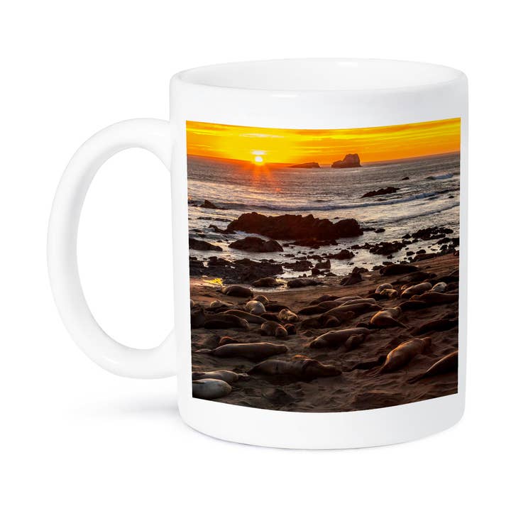 3dRose - Vendita all'ingrosso Tazza - 3dRose, California, Piedras Blancas. Foche elefante settentrionali al tramonto., Tazza8