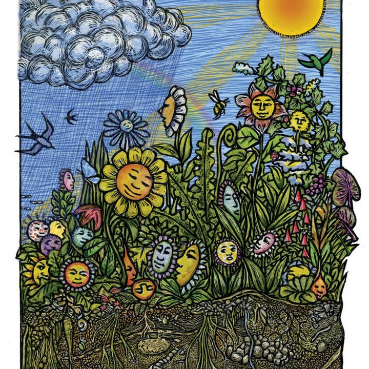 Ricardo Levins Morales Art Studio - Vendita all'ingrosso Biglietti di auguri generici - Fiori selvatici (Biglietto)