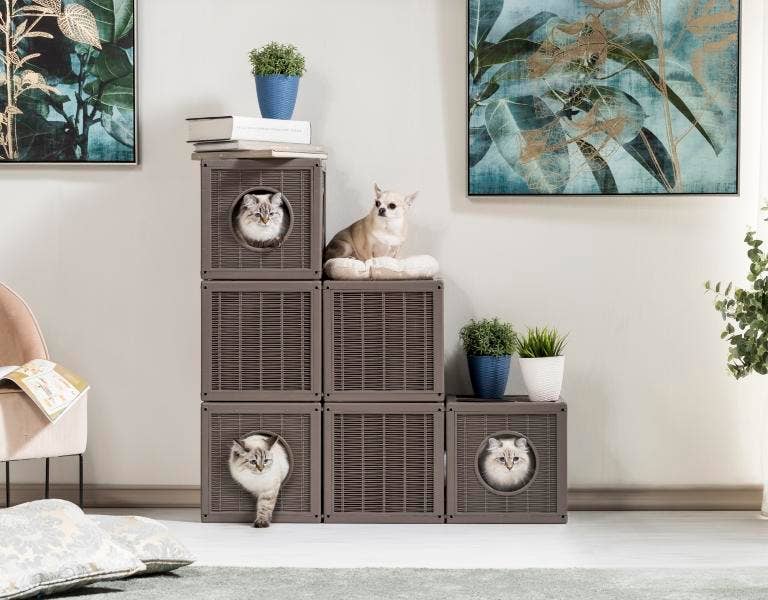 Newflands – wholesale Kattkliare - Katt – Qublo Kattgym7