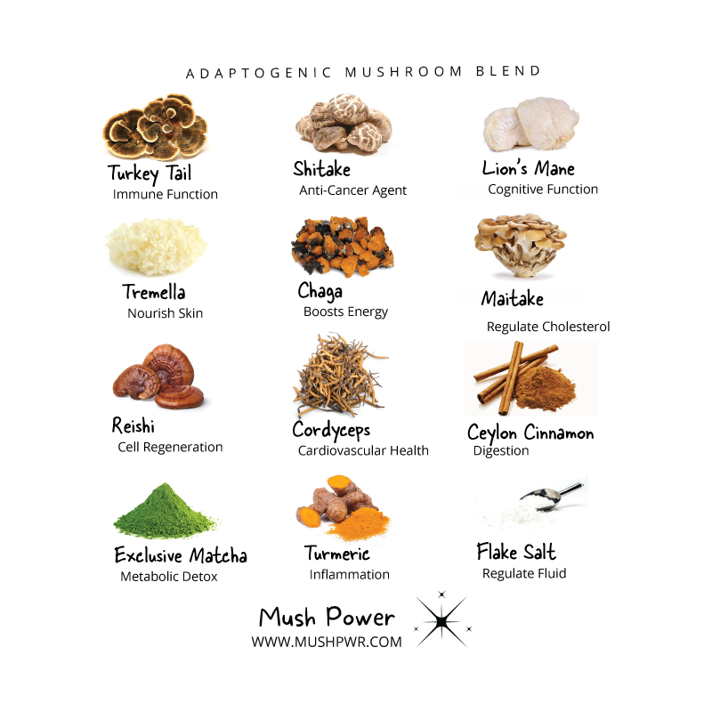 Mush Power - Wholesale Protein/Superfood Powder - Original Mush4