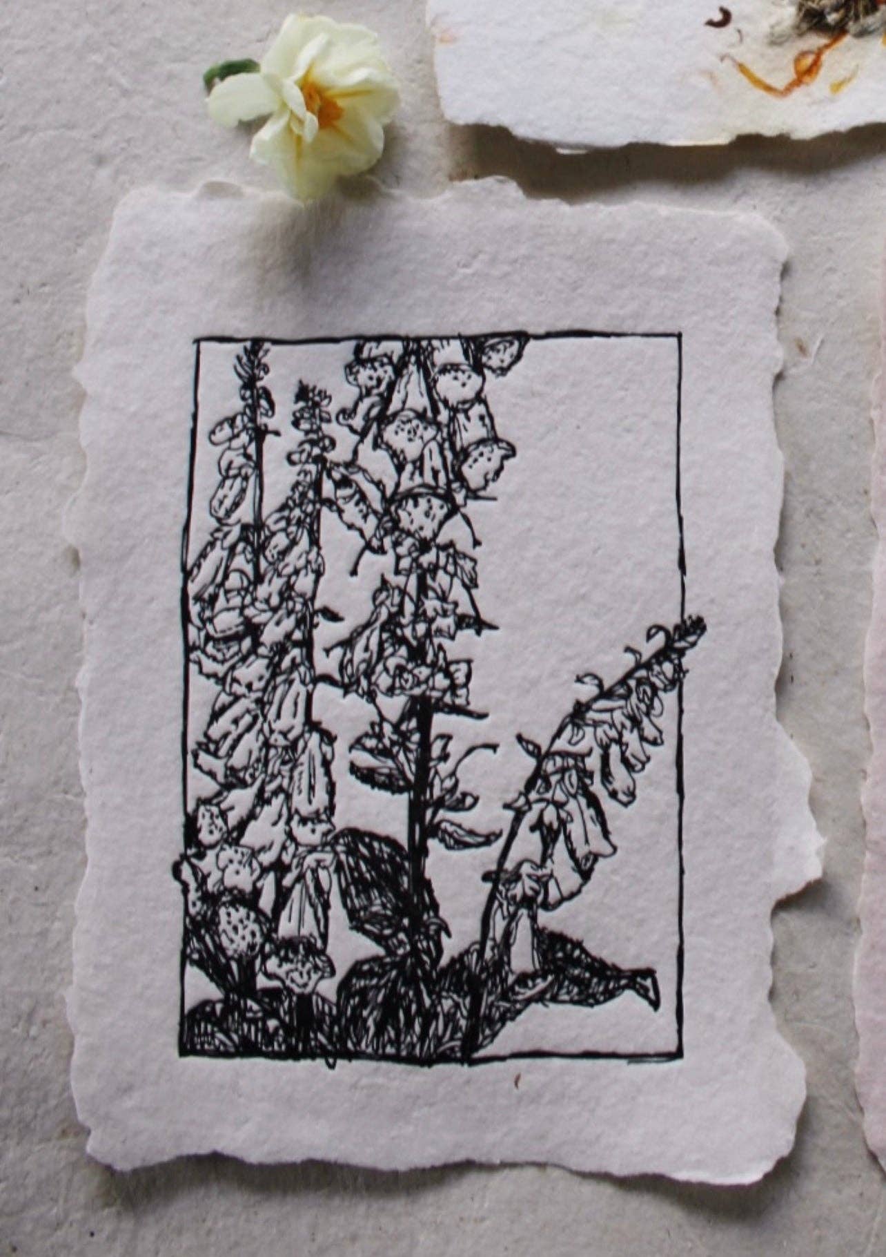 farmette - Wholesale Art Print - Art Prints XV1