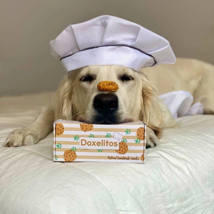 Doxel Snacks for dogs for wholesale by Doxel