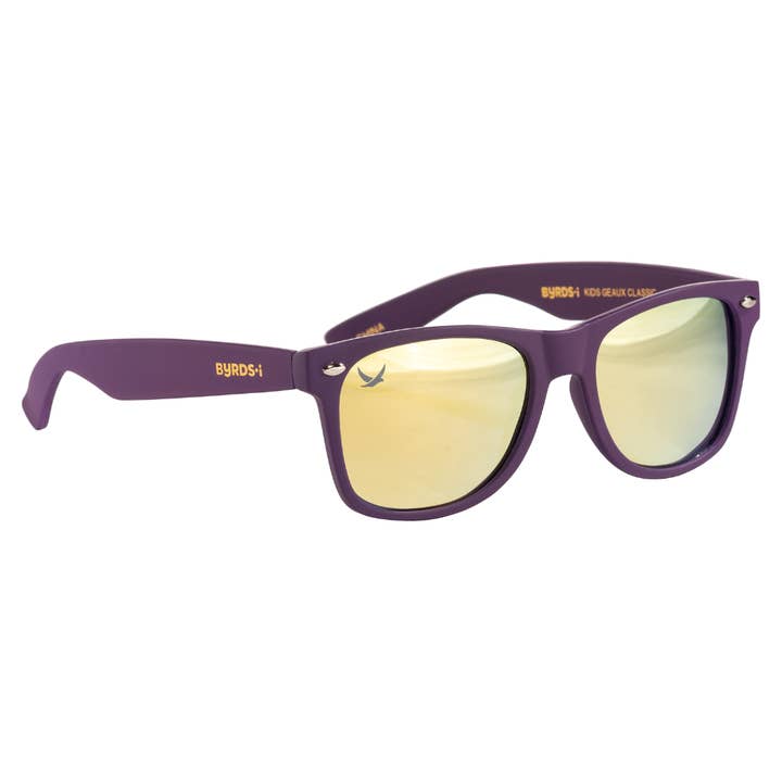 Lunettes de soleil Geaux Wayfarer pour enfants pour la vente par Byrdsi