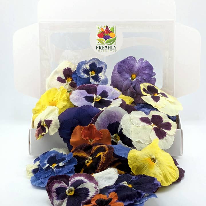 Freshly Preserved - Wholesale Cake/Cupcake Topper - Freeze-dried Edible Pansies