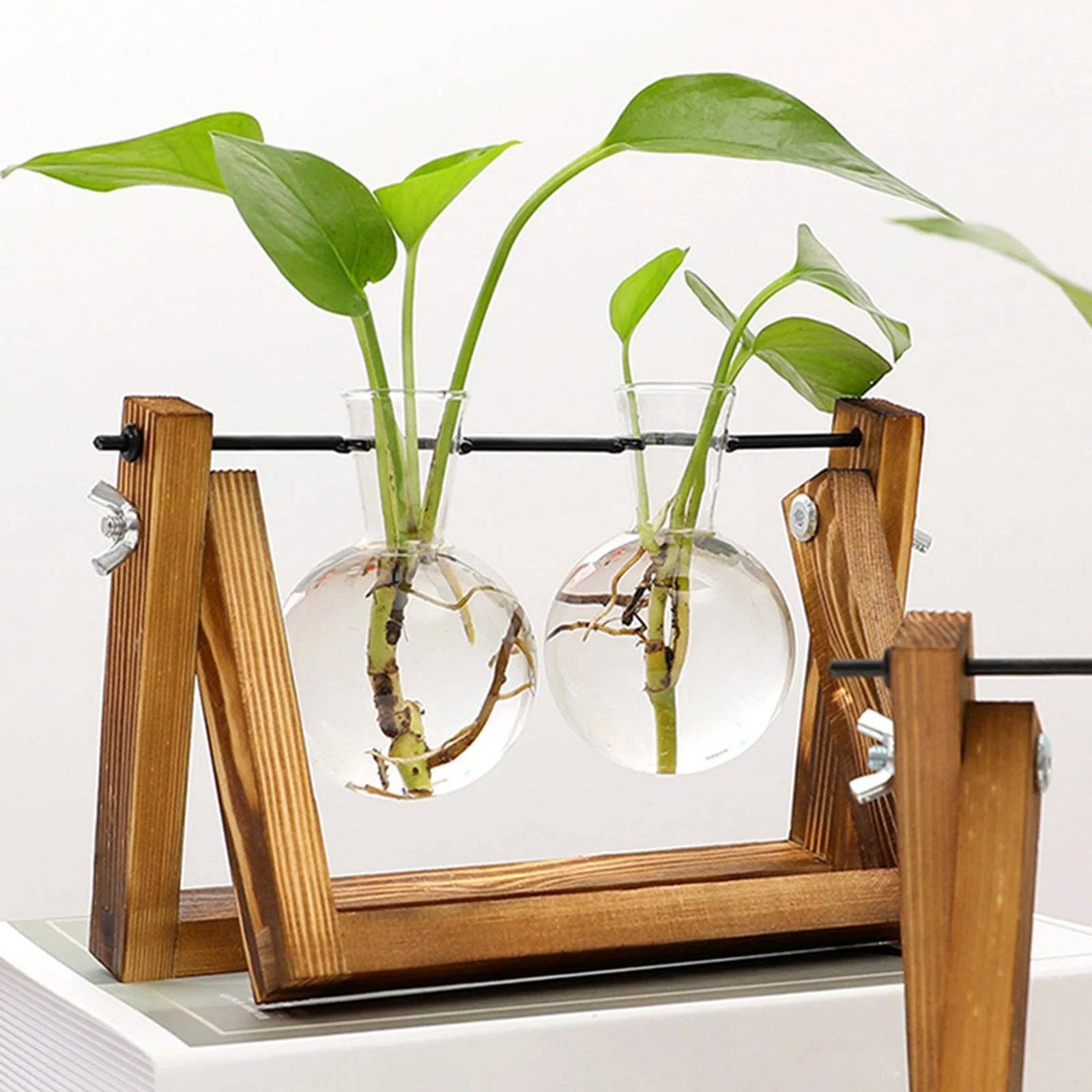 BRECK + FOX - Wholesale Vase - Plant Propagating Stand8