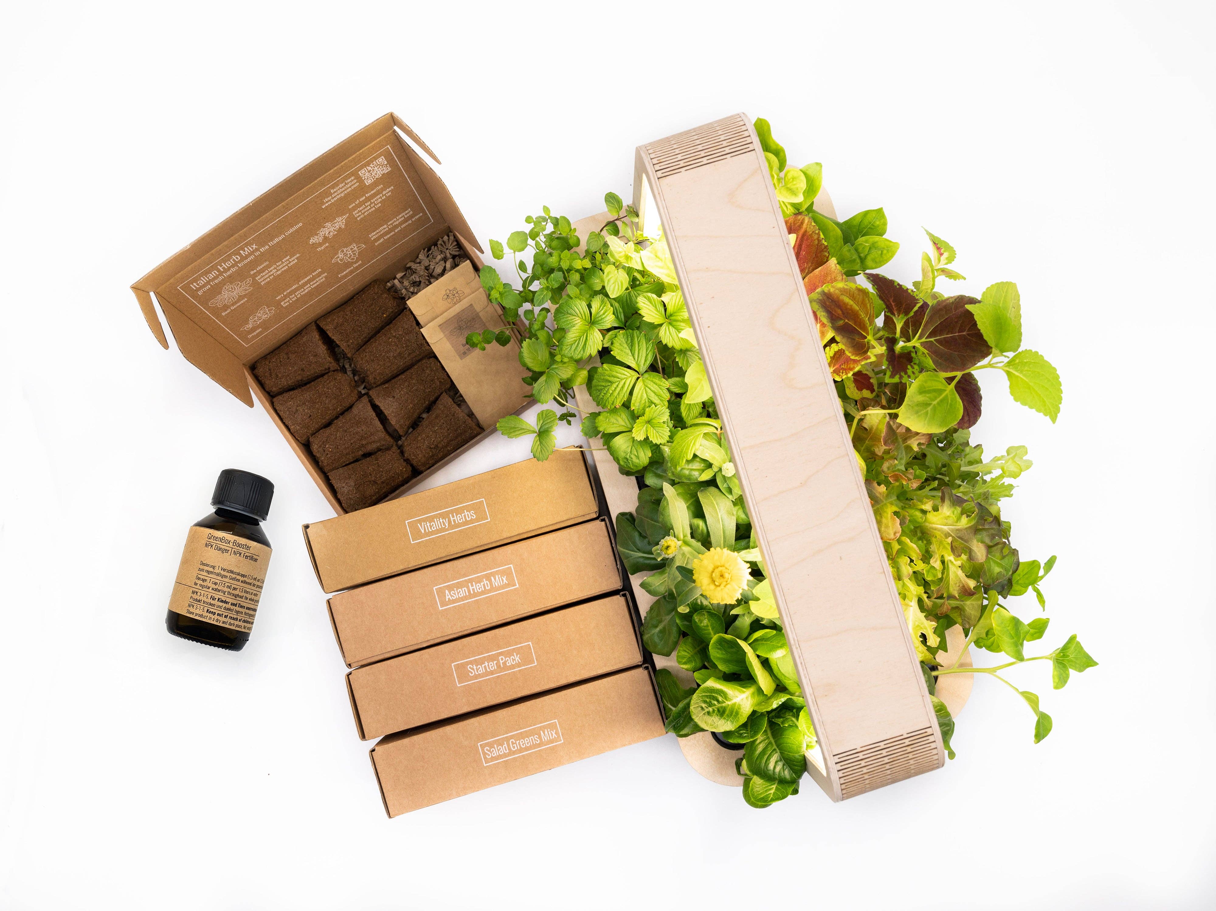 BerlinGreen – wholesale Plant seeds – GreenBox Great Variety Bundle1