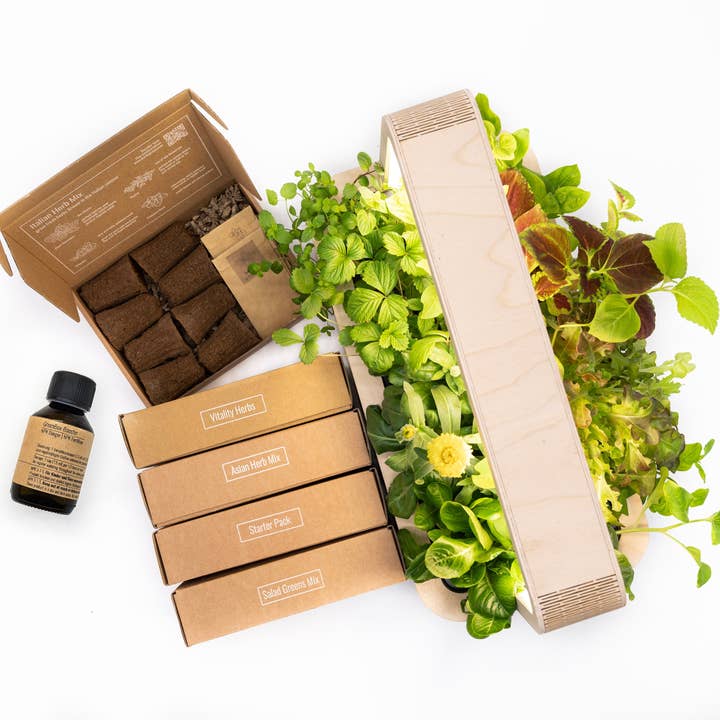 BerlinGreen - Wholesale Plant seeds - GreenBox Great Variety Bundle1