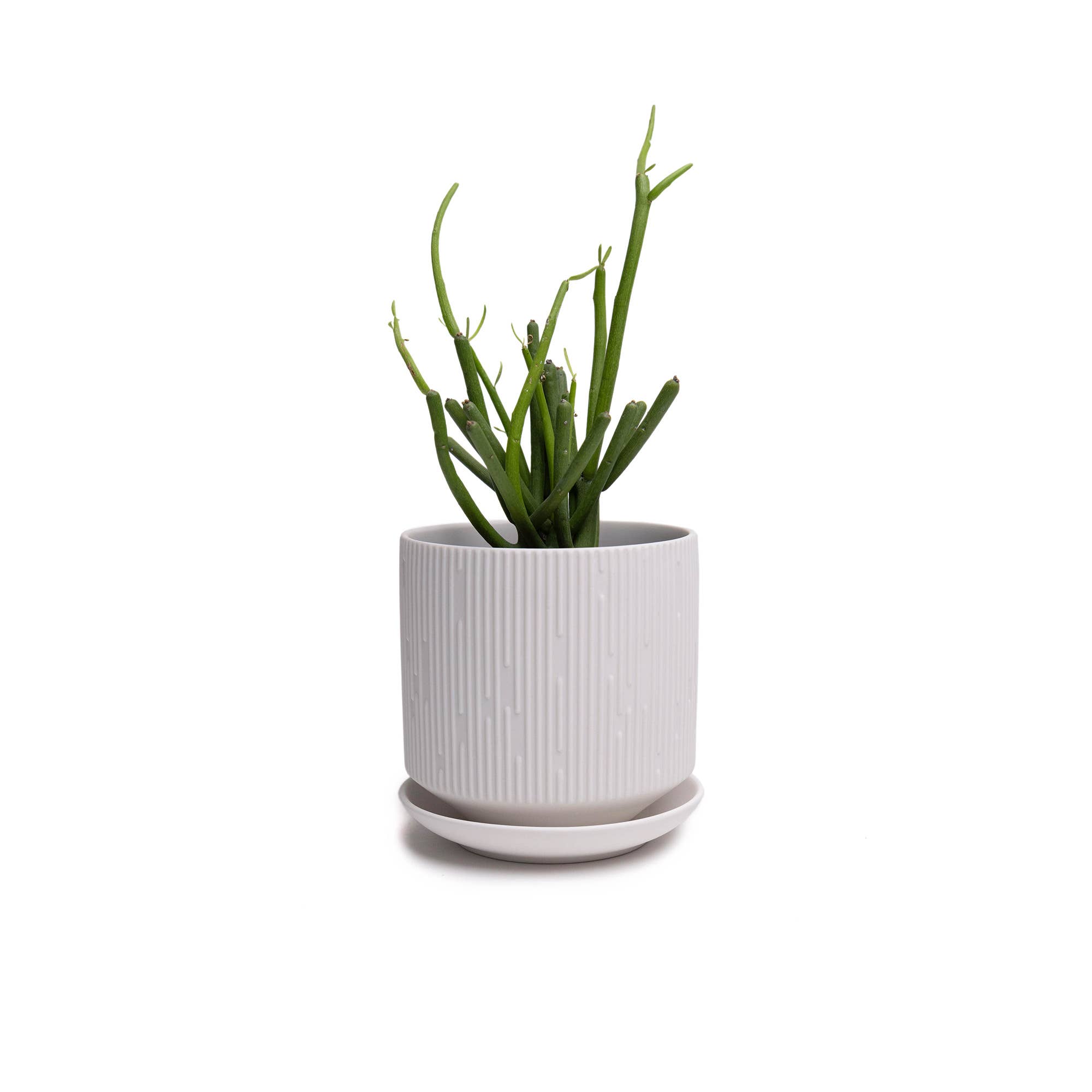 Chive - Wholesale Plant Pot - Handmade Ceramic Virago Pots | Artisan Plant Planters15