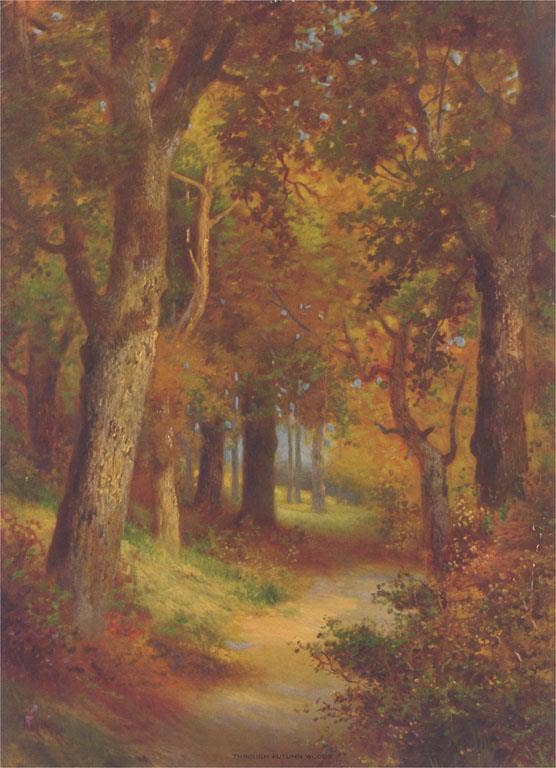 Found Image Press - Wholesale Postcard - Postcard LD-74 Forest Path0