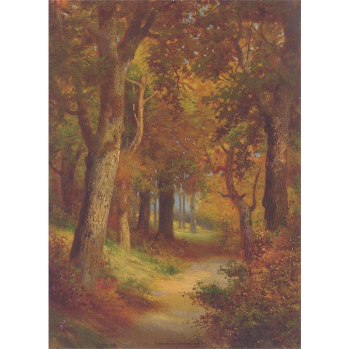 Found Image Press - Wholesale Postcard - Postcard LD-74 Forest Path