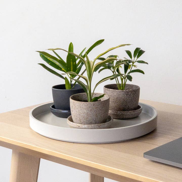 Kanso Designs - Wholesale Plant Pot - 3" Upcycled Mini Planters3