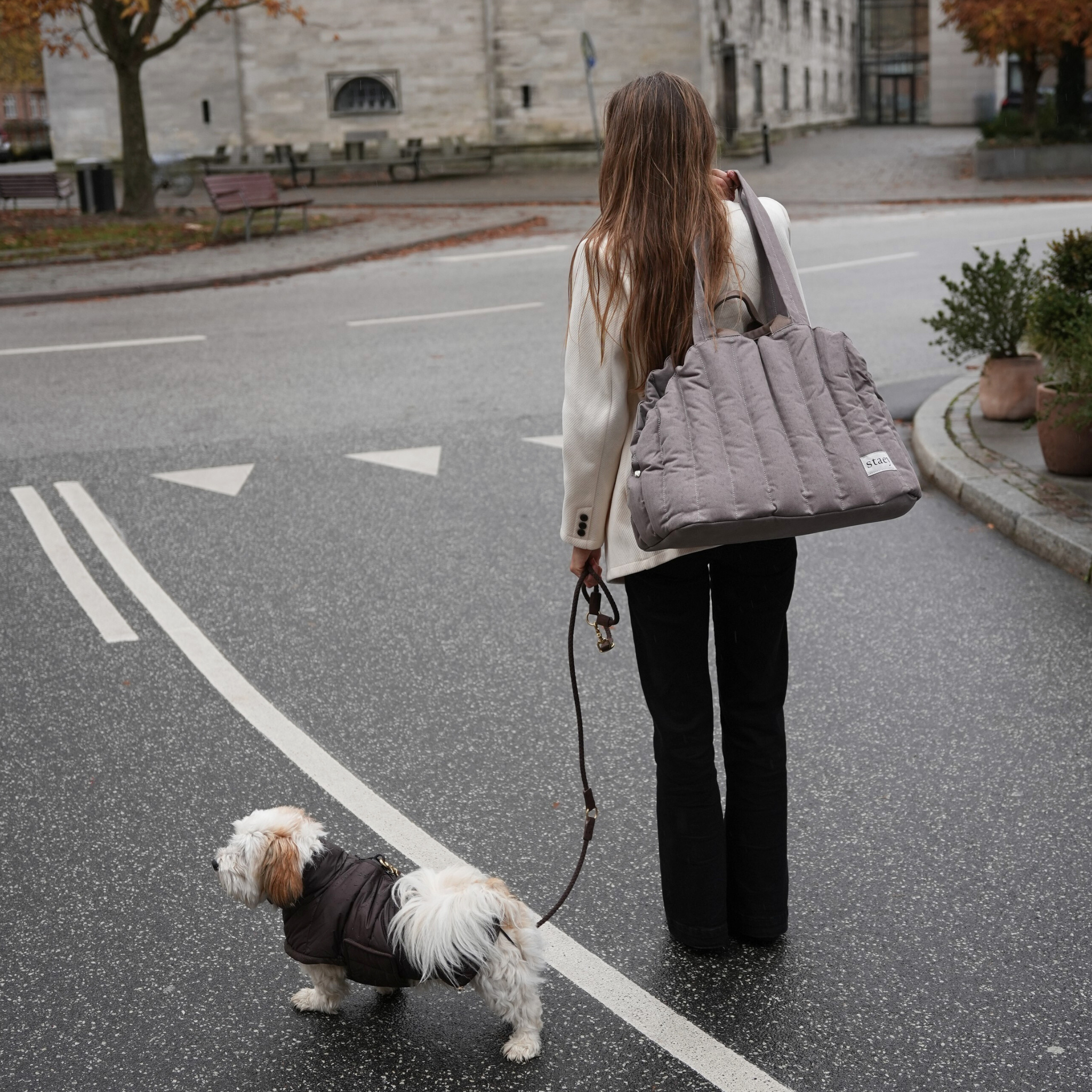 Staey – wholesale Pet carrier – Dog – Carrier Bag Elva | Taupe4