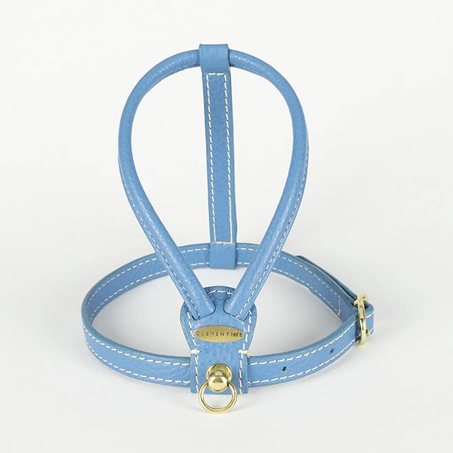 Sitwell Harness - Blue, Extra Small for wholesale by Clementine est dogs