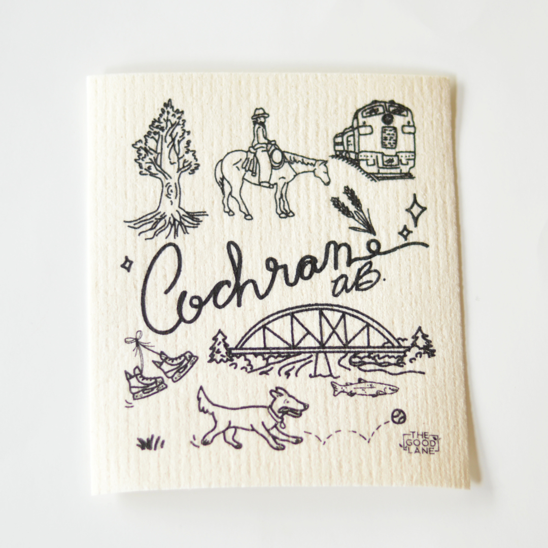 The Good Lane - Wholesale Dishcloth - Cloths That Support Local (Cochrane) - Swedish Sponge Cloth Set3