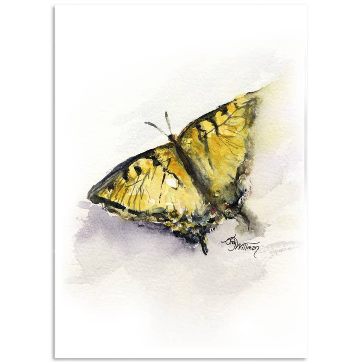 Appalachian Tiger Swallowtail for wholesale by Moonlight & Grace