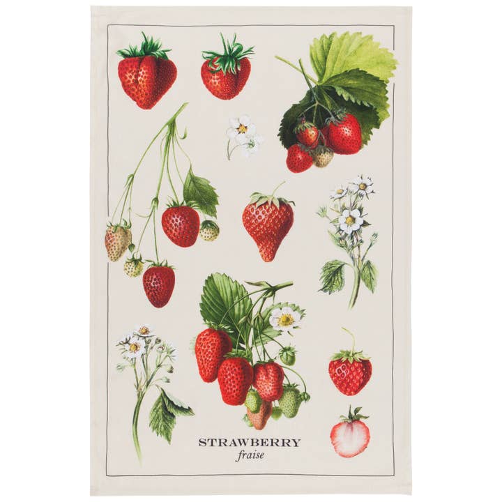 Now Designs by Danica - Wholesale Tea Towel - Vintage Strawberries Dishtowel