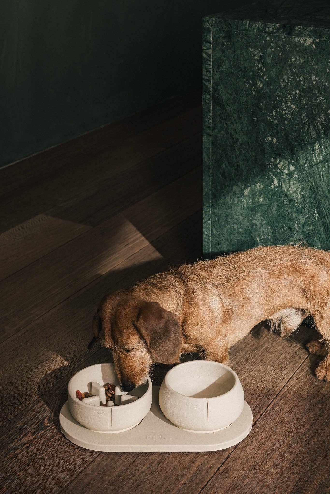 PINO - Wholesale Pet Bowl - Dog - Slow Feeder Bowl11