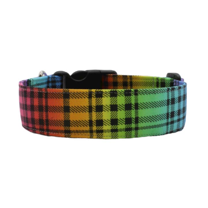 Rainbow plaid dog collar - The Alex for wholesale by Paper Chasing Collars Dog Accessories