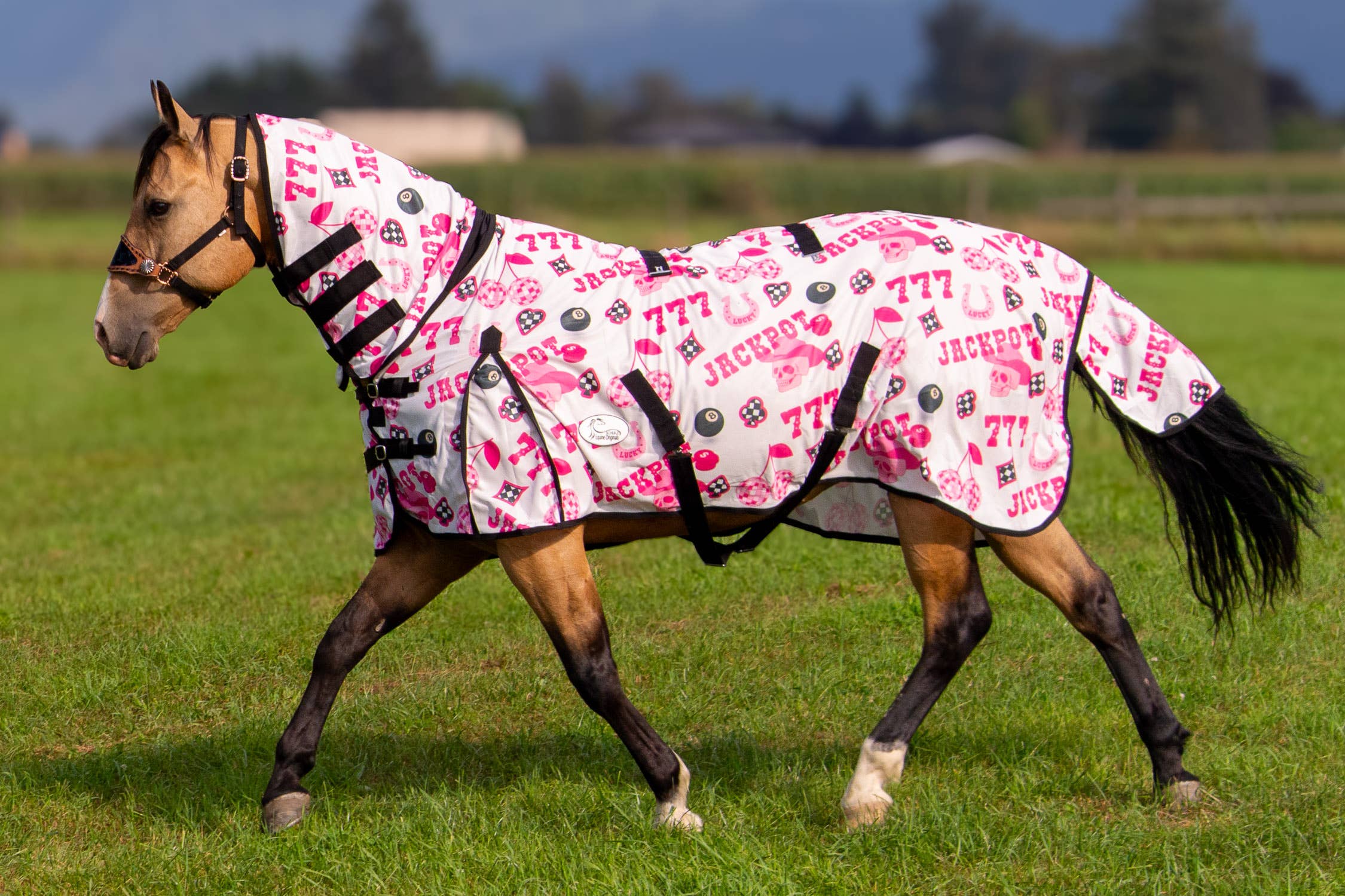 Schulz Equine - Wholesale Horseback Riding Gear - Jackpot Fly Sheet