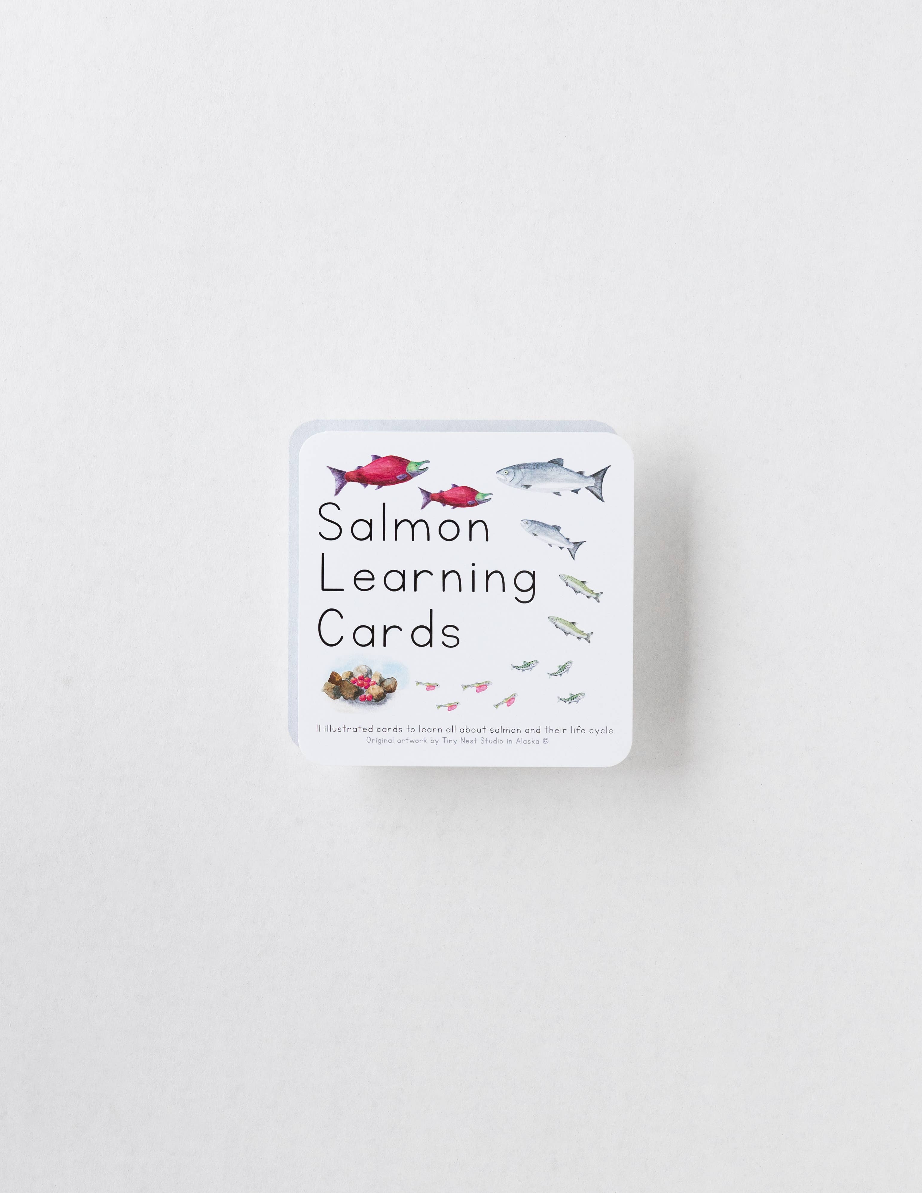 Tiny Nest Studio – Engroshandel Læringskort - Børn og baby – Laks livscyklus læringskort3